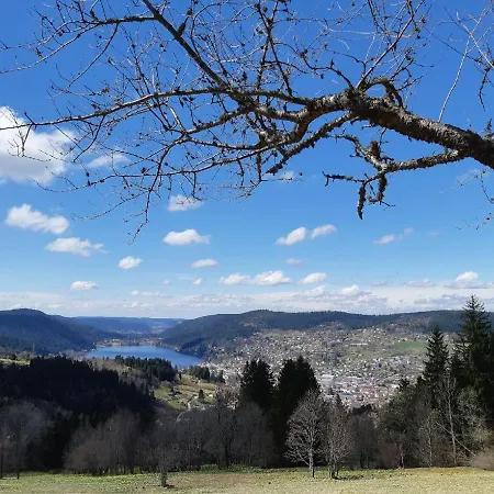 Les Gouttridos Vue *